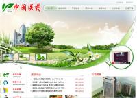 福建中闽医药